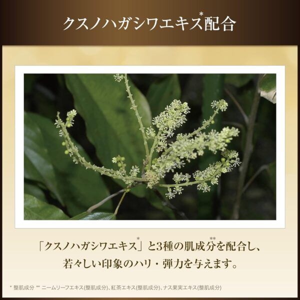 711c4iC+XcL._AC_SL1500_