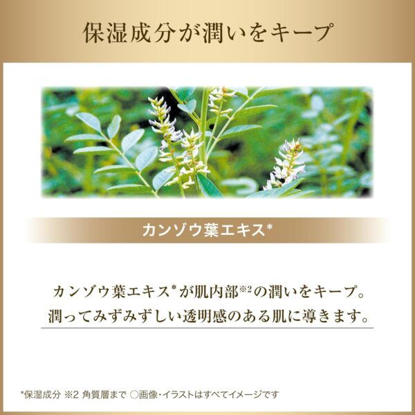 71hBUvjwotL._AC_SL1500_