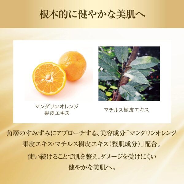 71leDjYv4wL._AC_SL1500_