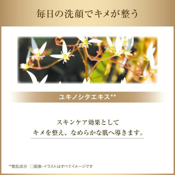 71tiyGTt+6L._AC_SL1500_