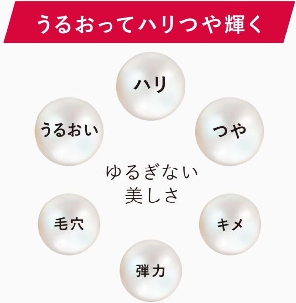 61gUXZ3Z91L._AC_SL1500_